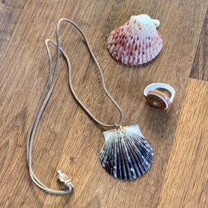 Shell Necklace/Pendant/Ring